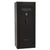 Centurion 18 | Level 1 Security | 30 Minute Fire Protection | Dimensions: 59.5" x 24.25" x 20" | Textured Black | Elock - No Door Panel Promotion - Closed Door